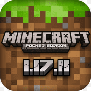 Minecraft 1.17.11
