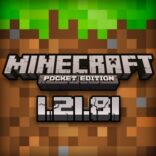 Minecraft 1.21.81