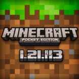 Minecraft 1.21.113