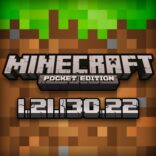 Minecraft 1.21.130.22