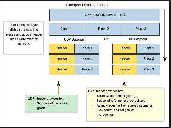 Transport Layer Header