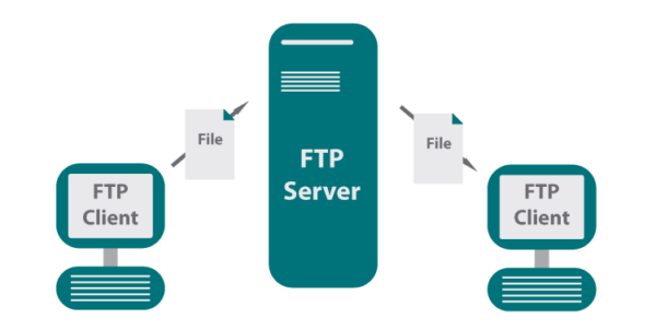 Rangkaian Protokol Internet FTP