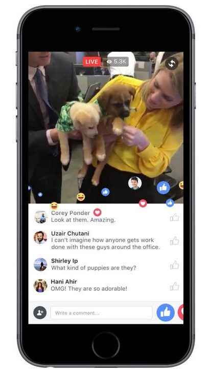 Facebook Live Stream