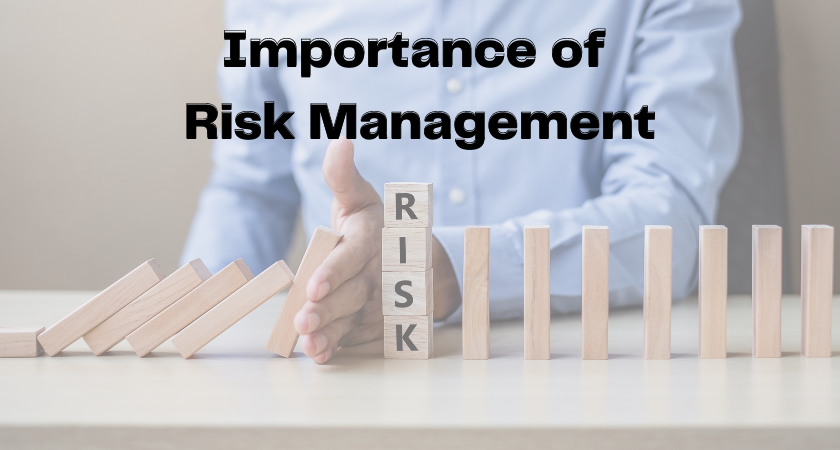 Apa Itu Risk Management?