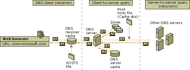 cara kerja DNS