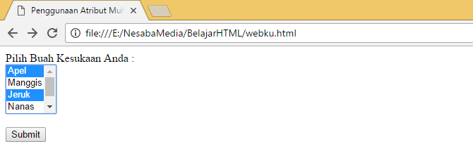 Atribut multiple pada tag <select> pada form HTML