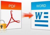 3 Cara Mengubah PDF ke Word Tanpa Menggunakan Aplikasi, Berhasil!