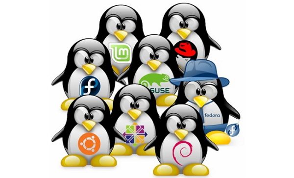 linux distro