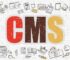 Pengertian CMS Beserta Fungsi dan Macam-macam CMS yang Perlu Anda Ketahui