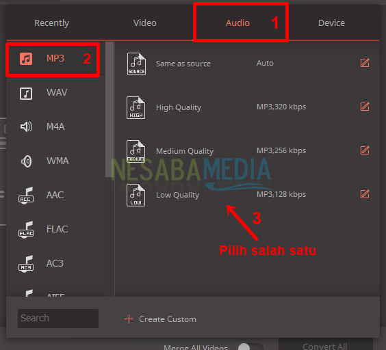 Langkah 3 - pilih audio, mp3 dan kualitas