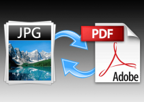 Tutorial Cara Mengubah JPG ke PDF dengan Mudah, Tanpa Aplikasi Juga Bisa!