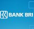 2 Cara Transfer Uang Lewat ATM BRI ke BRI / Bank Lain (Lengkap dengan Gambar)