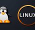3 Cara Menghapus Direktori di Linux Melalui Terminal untuk Pemula