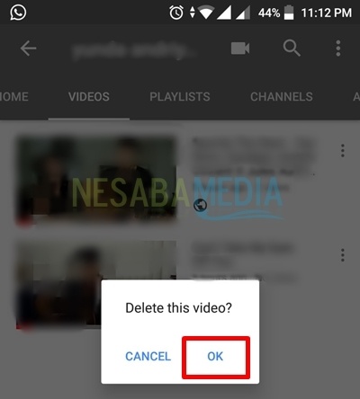click ok for deleting video