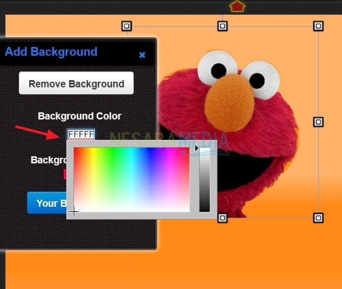 Display background color