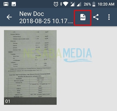 get the pdf file of scanning pic