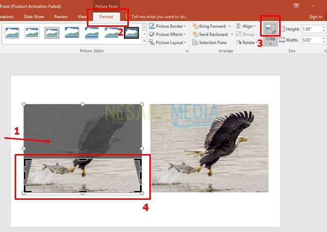 Cara Membuat Powerpoint 3D