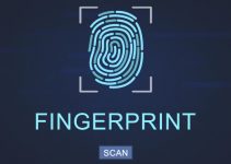 Pengertian Fingerprint Beserta Fungsi dan Cara Kerja Fingerprint