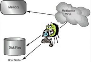 Jenis Virus Komputer - Multipartite