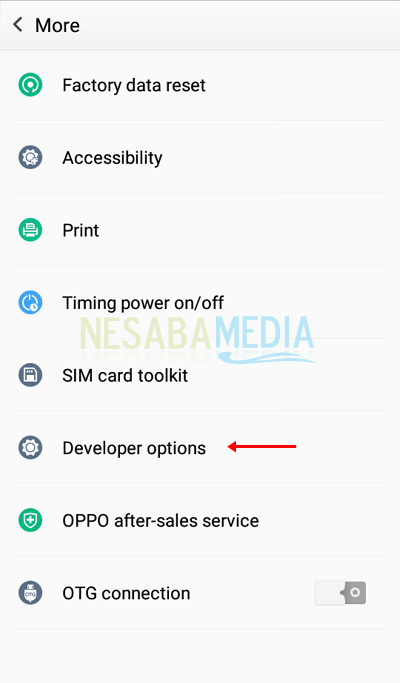cara a 2 - pilih Developer options