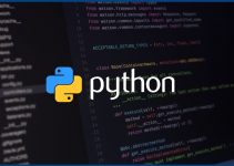 Pengertian Python Beserta Kelebihan dan Kekurangan Python, Sudah Tahu?
