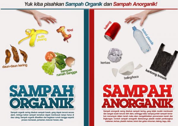 Contoh Sampah Organik dan Anorganik