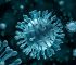 Kenali Ciri-Ciri Virus Beserta Struktur dan Peranan Virus dalam Kehidupan