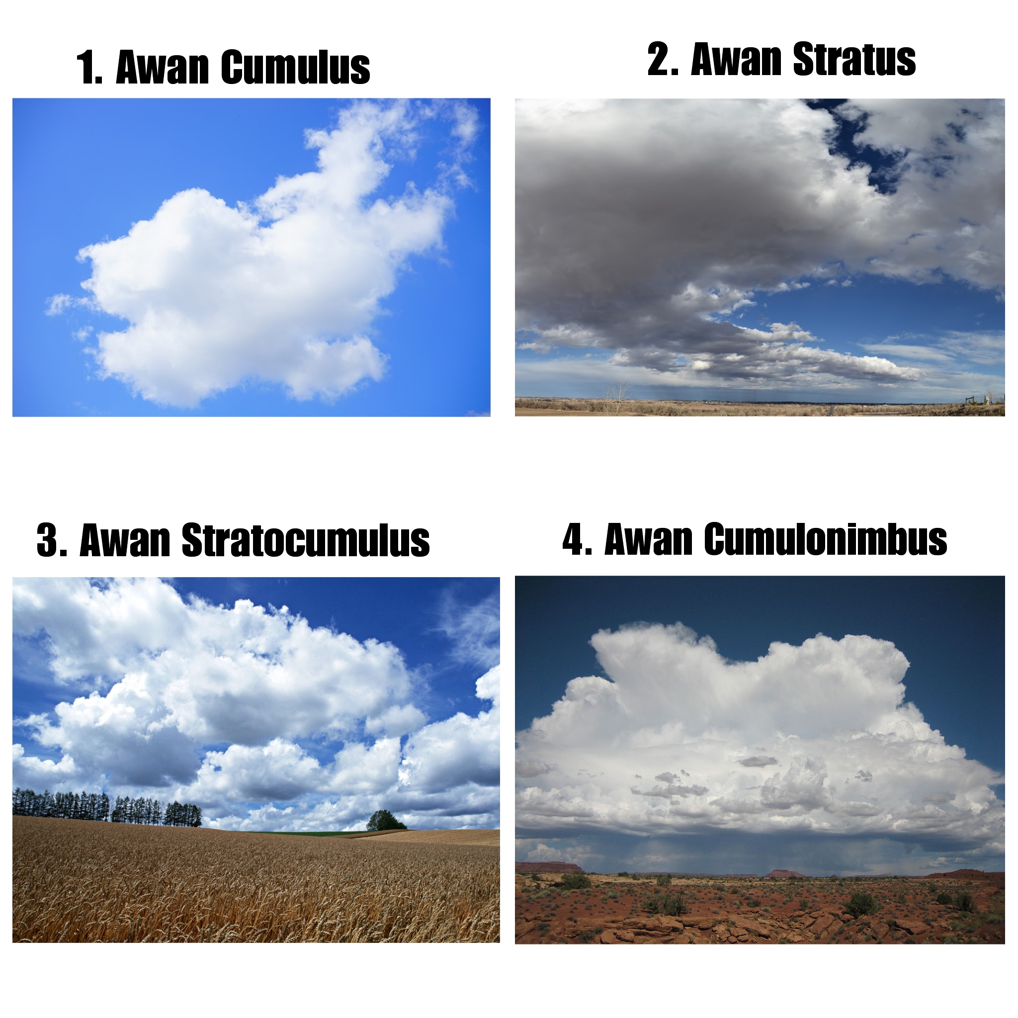 Jenis-Jenis Awan rendah: Awan Cumulus, Awan Stratus, Awan Stratocumulus, Awan Cumulonimbus