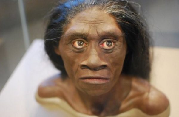 Homo Floresiensis