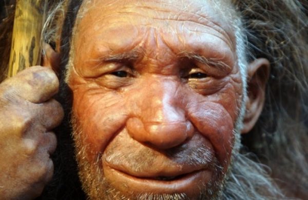 Alasan manusia purba jenis homo floresiensis dengan julukan manusia kerdil adalah