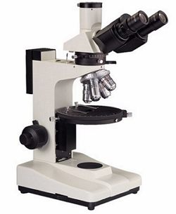 mikroskop elektron