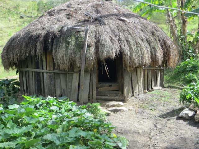 rumah adat Papua Wamai