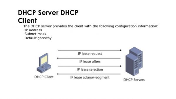 Fungsi dan Cara Kerja DHCP Server