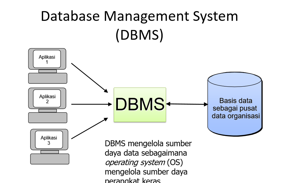 Contoh Aplikasi DBMS