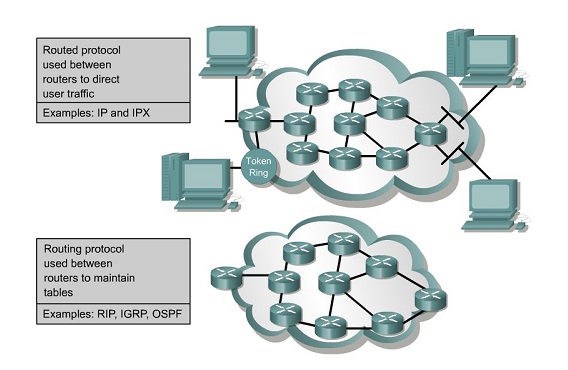 Jenis-Jenis Routing Berdasarkan Routed and Routing Protocol