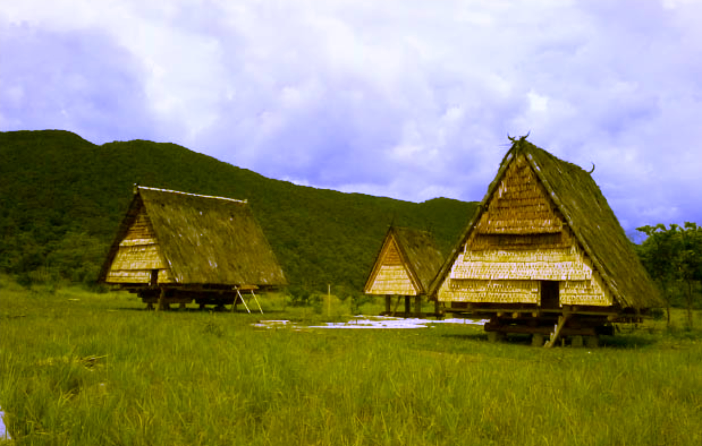 Rumah Adat Tambi : Struktur & Ciri Khasnya (Beserta Gambar)