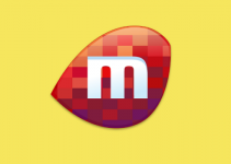 Download Miro Video Player Terbaru 2022 (Free Download)