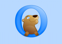 Download Otter Browser Terbaru 2022 (Free Download)