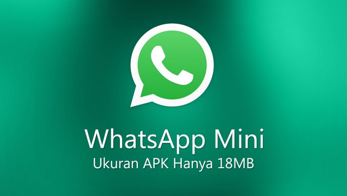 Whatsapp Mini