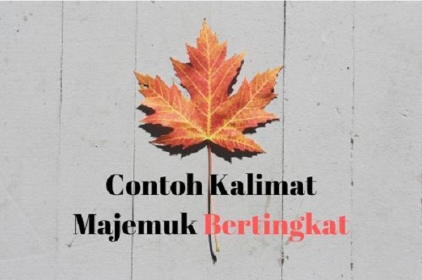 Contoh Kalimat Majemuk Bertingkat