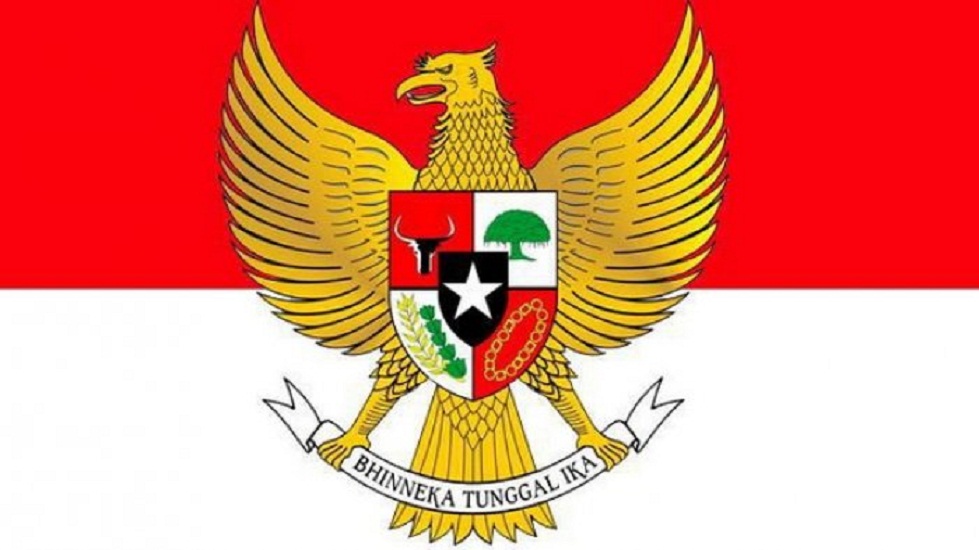 Pengertian Identitas Nasional dan Contohnya