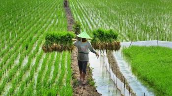 Salah satu contoh perubahan yang memiliki pengaruh besar adalah