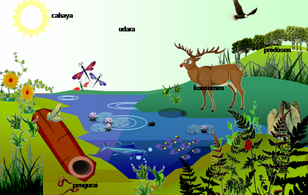 Komponen Ekosistem