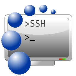 Download Bitvise SSH Client