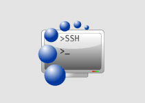Download Bitvise SSH Client Terbaru 2022 (Free Download)