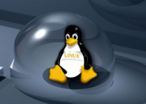 Kumpulan Perintah Dasar Linux yang Wajib Dipelajari oleh Pemula
