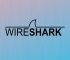 Kenali Pengertian Wireshark Beserta Fungsi dan Cara kerjanya, Lengkap!