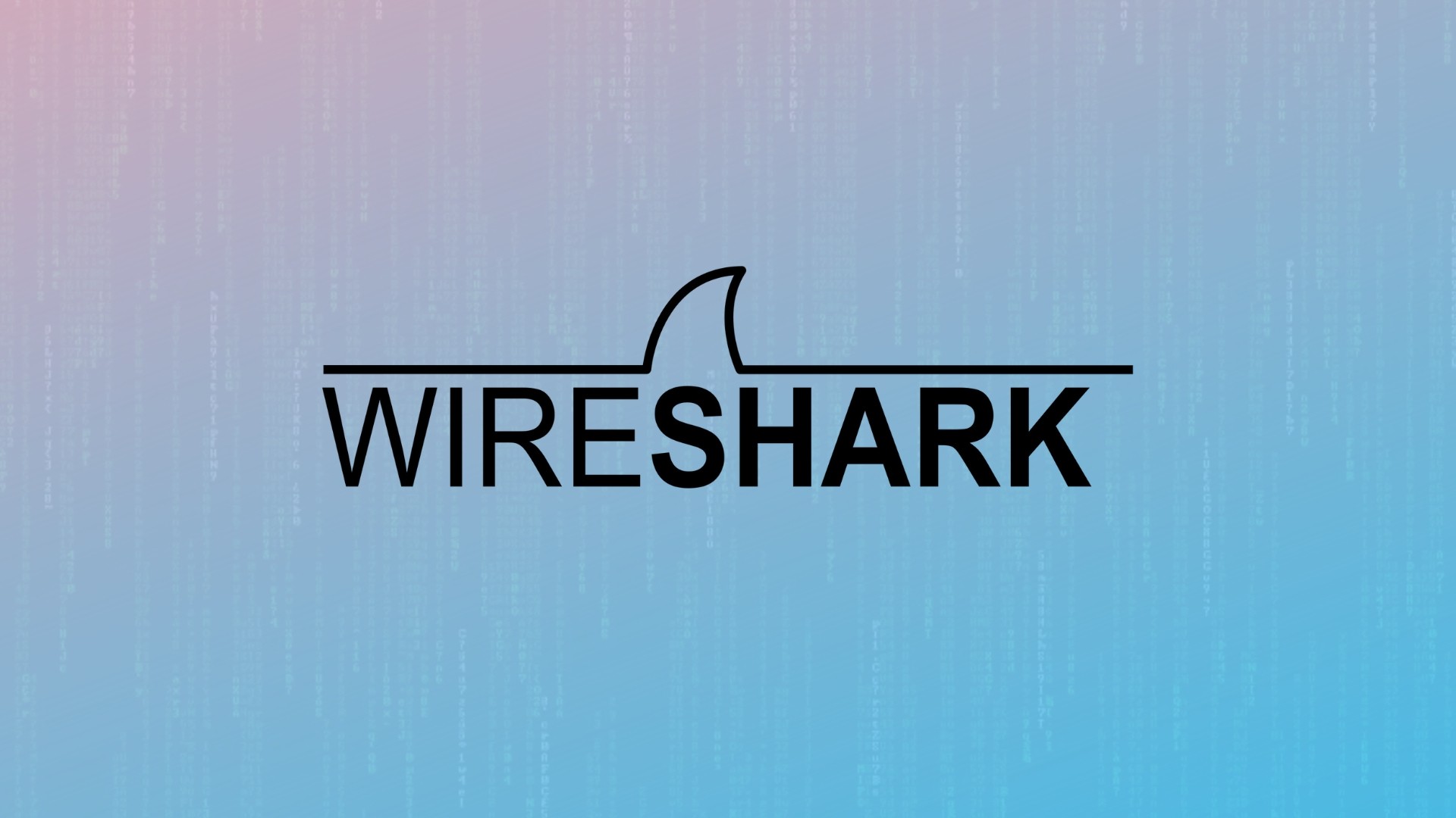 Pengertian Wireshark Adalah