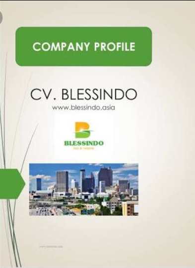 Company Profile Sederhana dan Warna Elegan