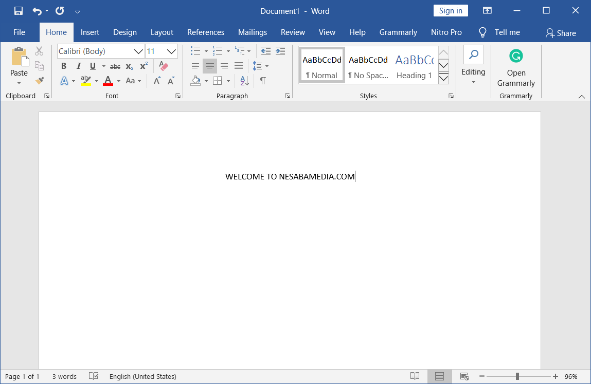 Microsoft Office 2019 Screenshot